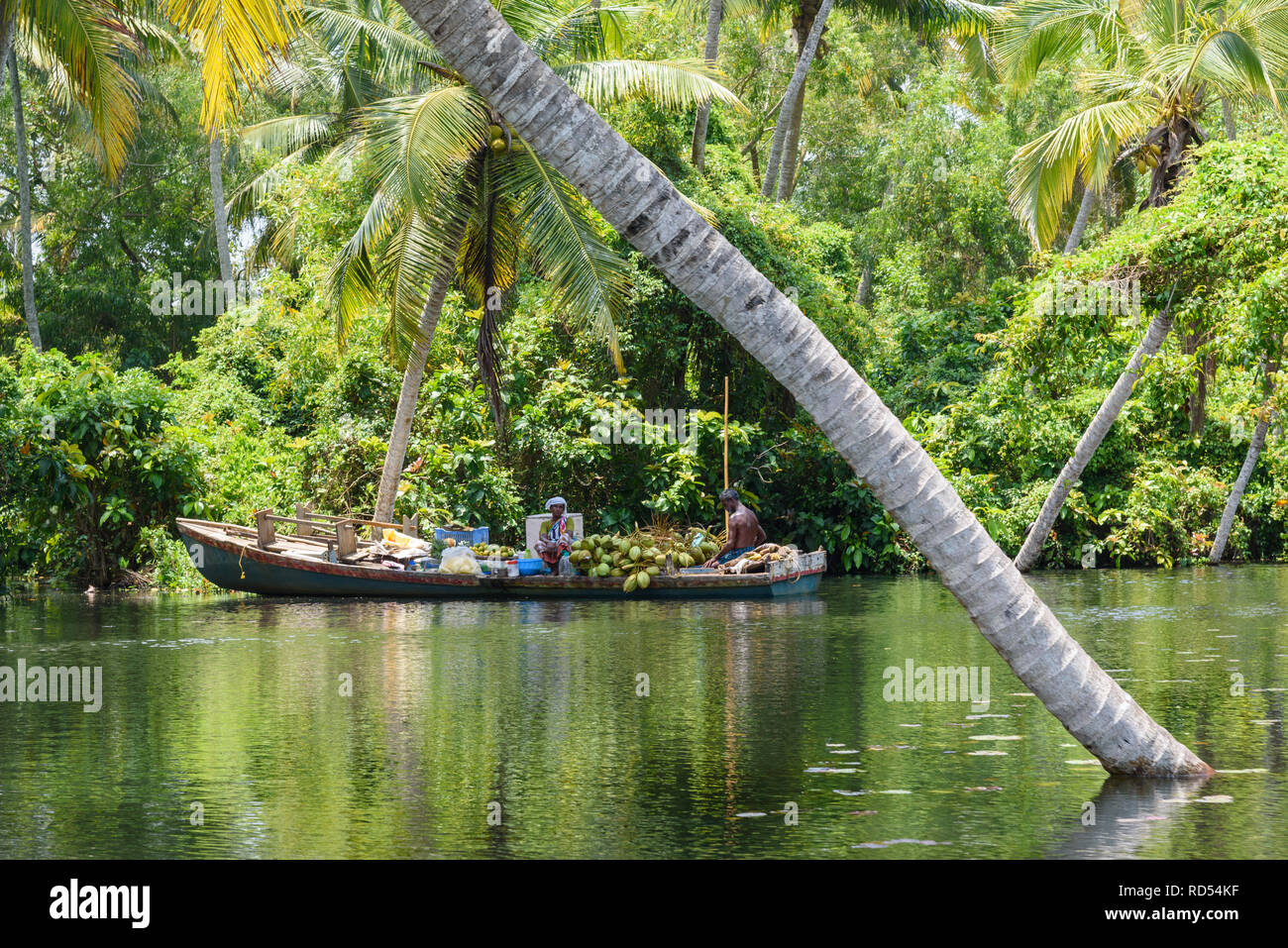 Gli abitanti di un villaggio di barca su Poovar Backwaters piena di noci di  cocco e frutta, Kerala, India Foto stock - Alamy