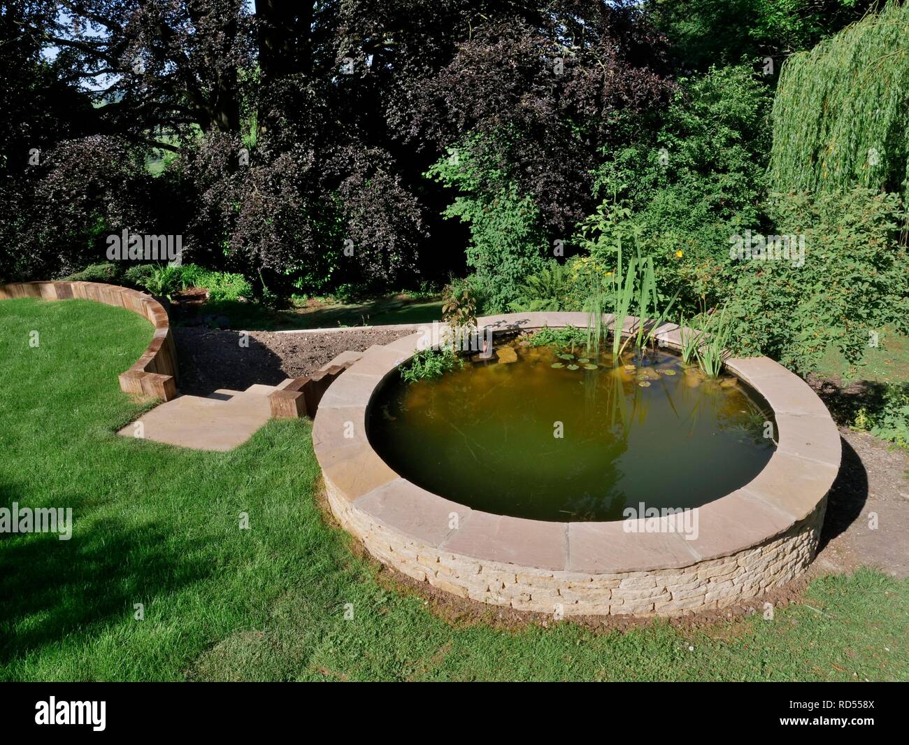 Costruito di recente e piantate del laghetto in giardino, progettato per attirare la fauna selvatica con piante autoctone e una pendenza di macerie con molti crepacci nelle, Wiltshire, Regno Unito, Giugno. Foto Stock