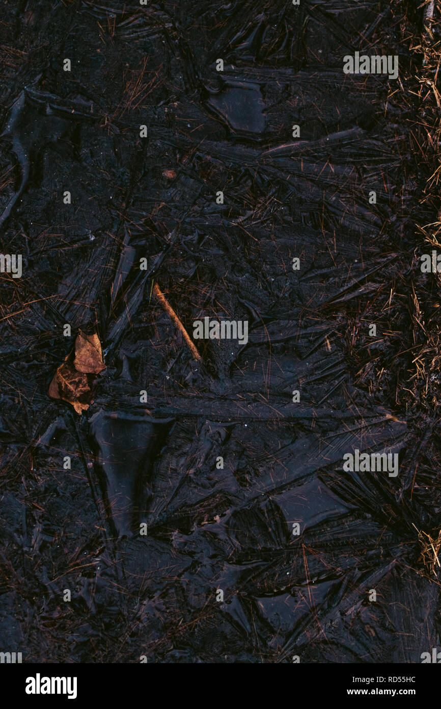 Terreno ghiacciato Foto Stock