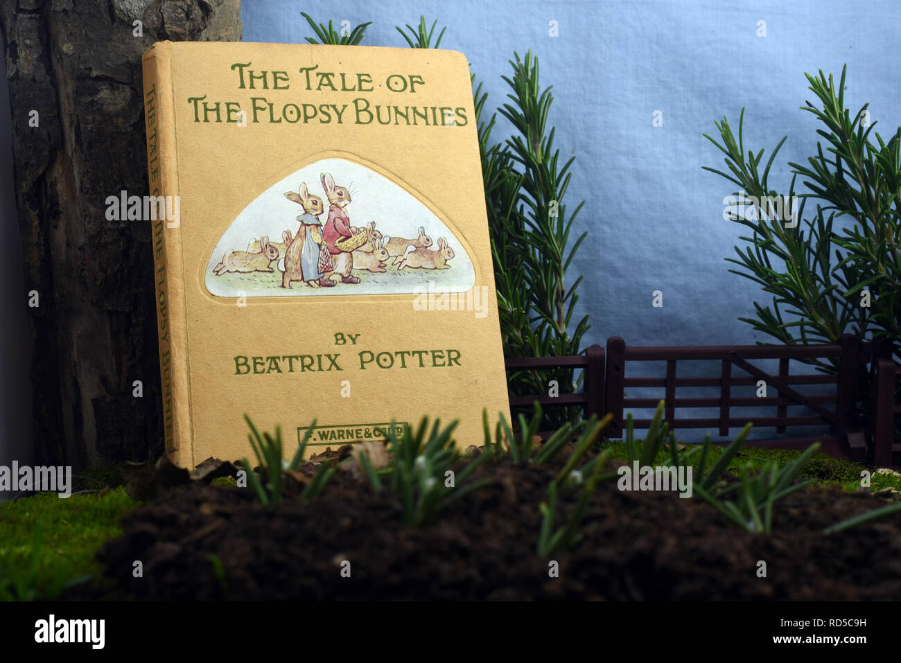 Vintage Beatrix Potter libro della storia della Flopsy coniglietti. Still Life Foto Stock