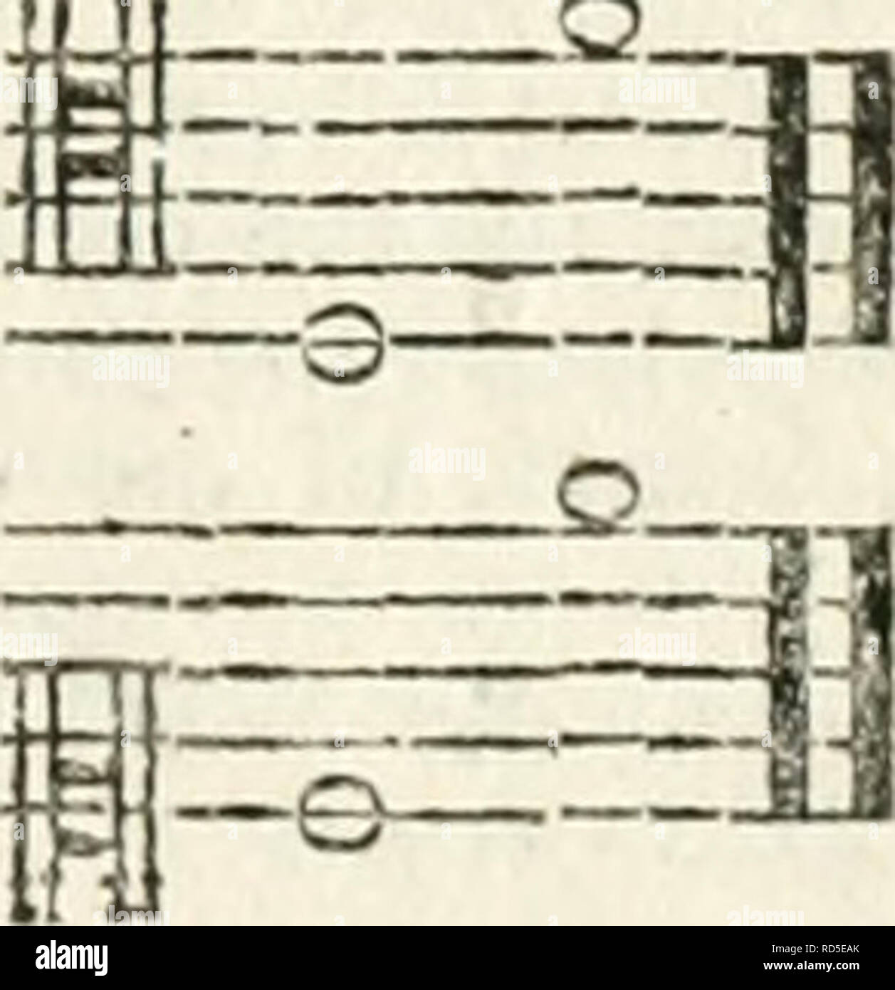 . Il encyclopaedia - Wikizionario; o, dizionario universale delle arti e delle scienze e la letteratura. Enciclopedie e dizionari. Q  4. Contralto. CAMBI JH ma come ci sono fometimes bafe voci che scendono a doppia F e persino inferiore; fo ci sono in alti, tra i moderni fenomeni di vocal, indugia che andare superiore F in altiffimo; che rendono il complesso diapalon di voci deve superare quattro ottave. Aiid vi è a prefent (1S02) in Inghilterra, un tedesco buffo dito con un bafe voce che gtxrs giù al doppio gammut in real mufical toni; e in falfet, fino a G sulla linea fecond in toni acuti. Nessuna Opinione pubblica ufe era fatto di t Foto Stock