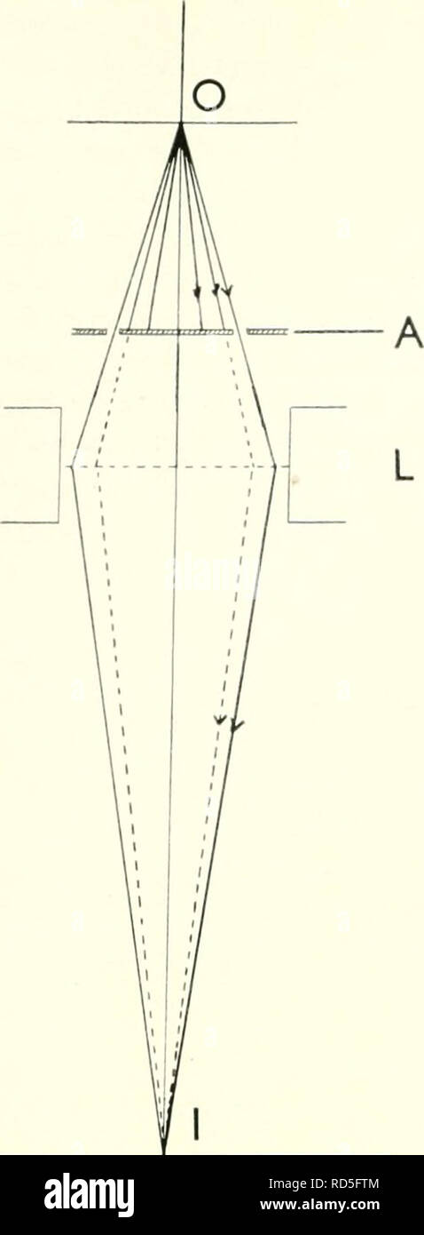 . Microscopia elettronica; il procedimento della Conferenza di Stoccolma, Settembre, 1956. Microscopia elettronica. 354 J. H. TALBOT. Fig. I. Ray schema che illustra il principio del buio- sistema di campo. A destra è mostrata la speciale anello aper- ture. sono raccolti con un precipitatore termico direttamente sul film di berillio circa 30 una spessa. Dopo la raccolta vengono riscaldati fino a 550 C per rimuovere la materia organica e condensare i vapori dell'olio. Allo stesso tempo il berillio si ossida a forma cristallina di un film di ossido, il pattern di diffrazione di cui è utilizzato per calibrare il modello di diffrazione della polvere di miniera. U Foto Stock . Microscopia elettronica; il procedimento della Conferenza di Stoccolma, Settembre, 1956. Microscopia elettronica. 354 J. H. TALBOT. Fig. I. Ray schema che illustra il principio del buio- sistema di campo. A destra è mostrata la speciale anello aper- ture. sono raccolti con un precipitatore termico direttamente sul film di berillio circa 30 una spessa. Dopo la raccolta vengono riscaldati fino a 550 C per rimuovere la materia organica e condensare i vapori dell'olio. Allo stesso tempo il berillio si ossida a forma cristallina di un film di ossido, il pattern di diffrazione di cui è utilizzato per calibrare il modello di diffrazione della polvere di miniera. U Foto Stock