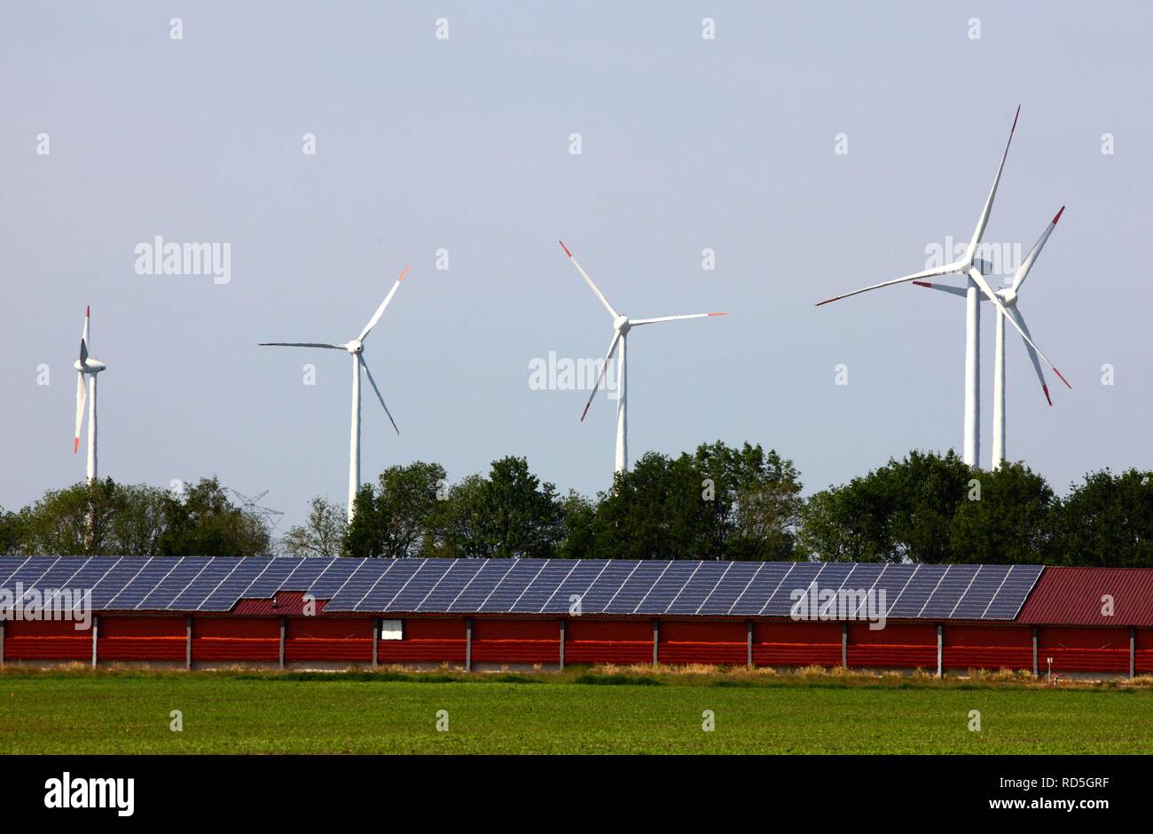 Fattoria eolica, l'energia solare prodotta da pannelli solari su un grande stabile vicino a Rhede Ems, Bassa Sassonia Foto Stock