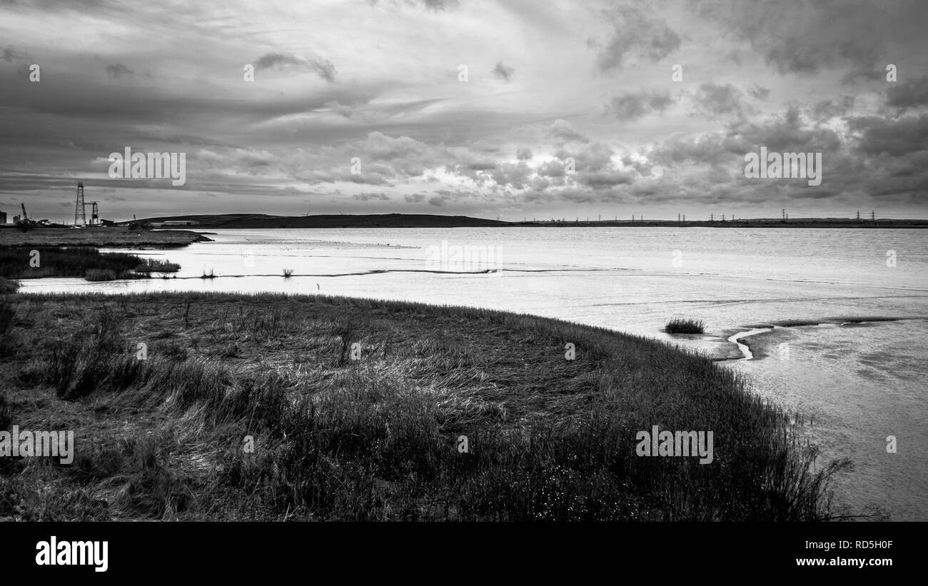 Il nero e il bianco paesaggio: Fiume Tamigi, Dartford paludi, Kent, Regno Unito Foto Stock