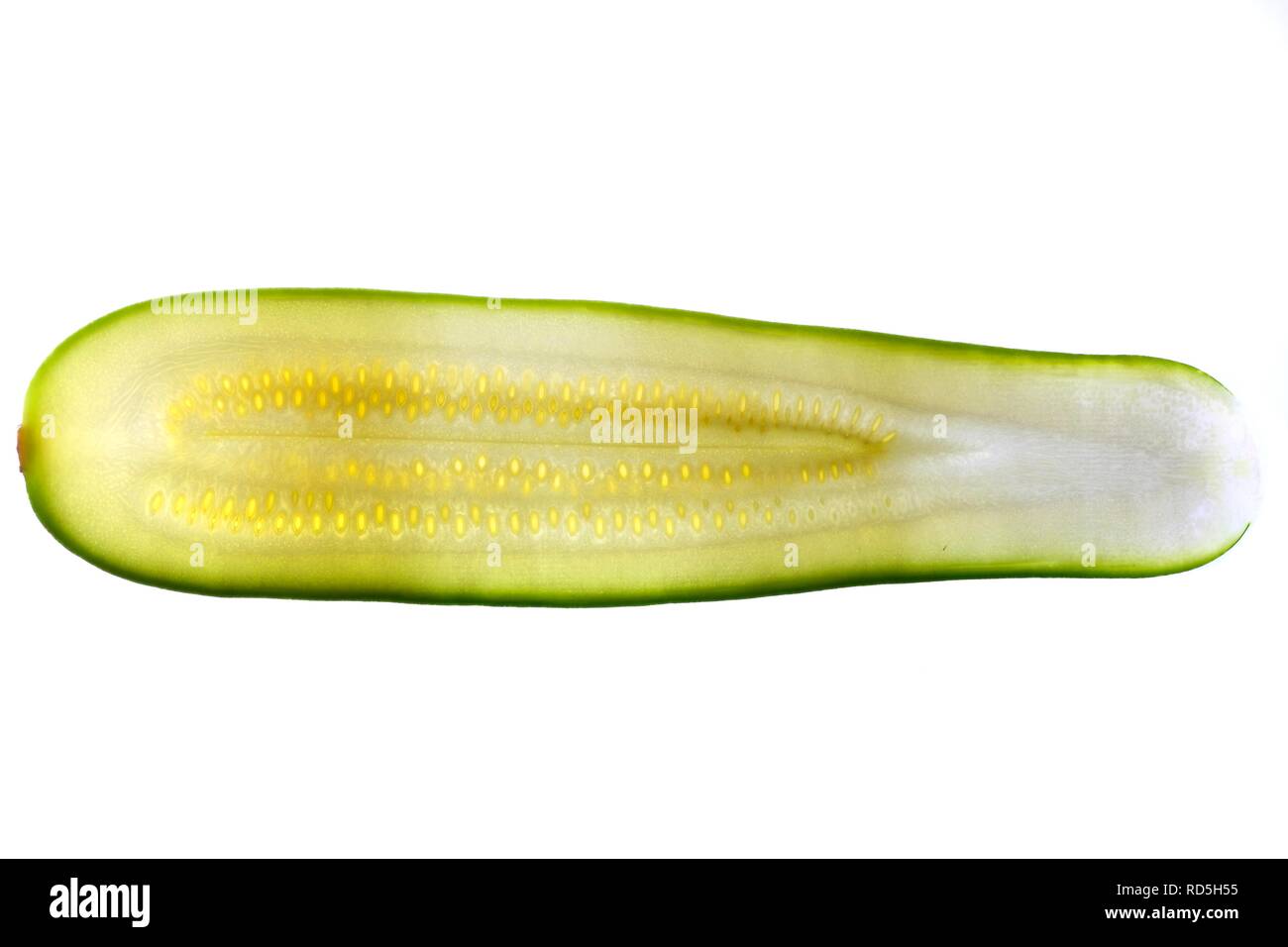 Zucchine (Cucurbita pepo), a fette Foto Stock