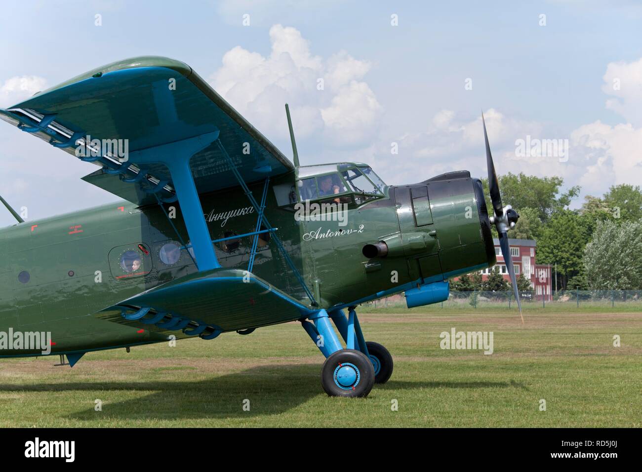 Antonov-2 biplano, celebrazione del centenario della airfield, Lueneburg, Bassa Sassonia, Germania Foto Stock