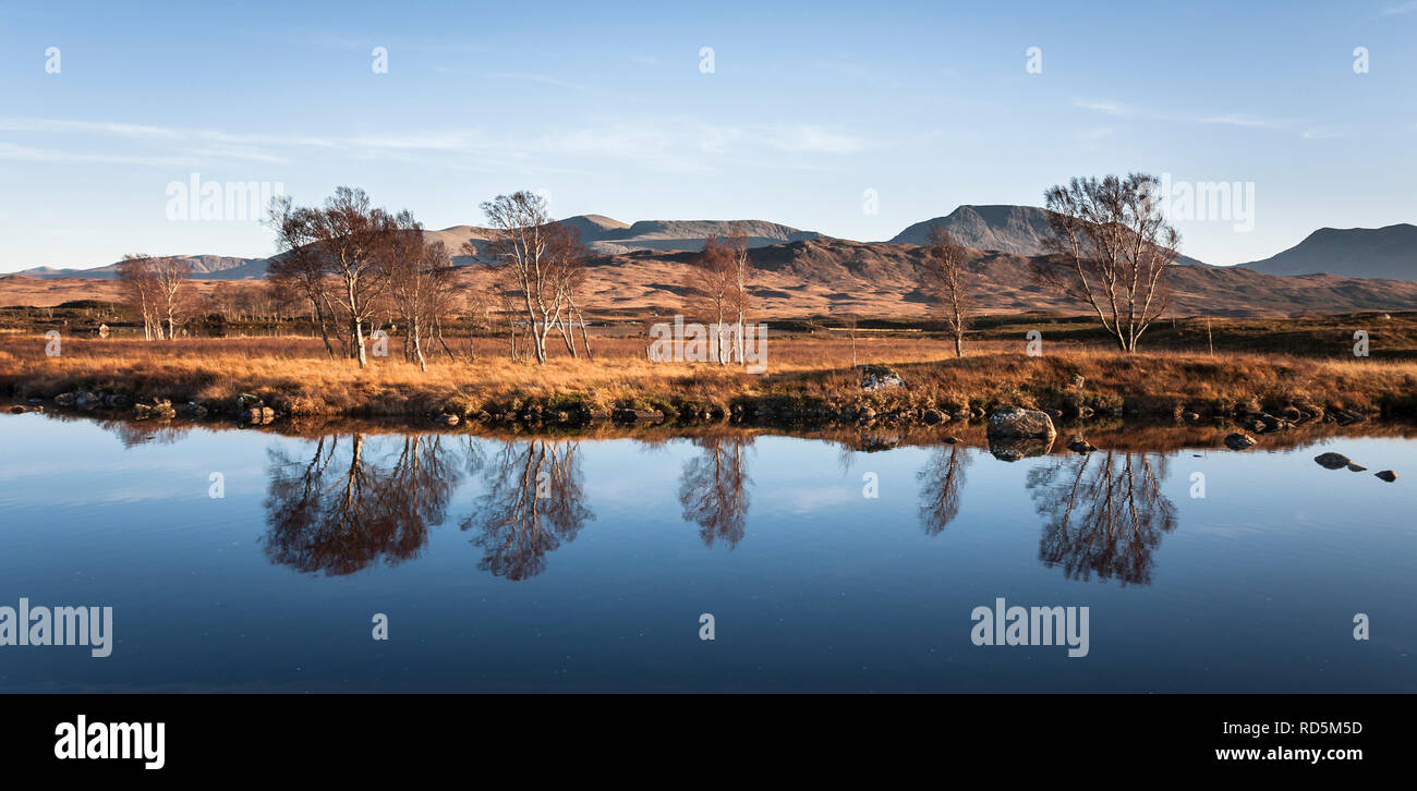 Trampolieri in terreni paludosi sul Loch Ba, Rannock Moor, per ottenere questa serena shot del tramonto illuminano i bordi di betulla e lo specchio di riflessione. Foto Stock