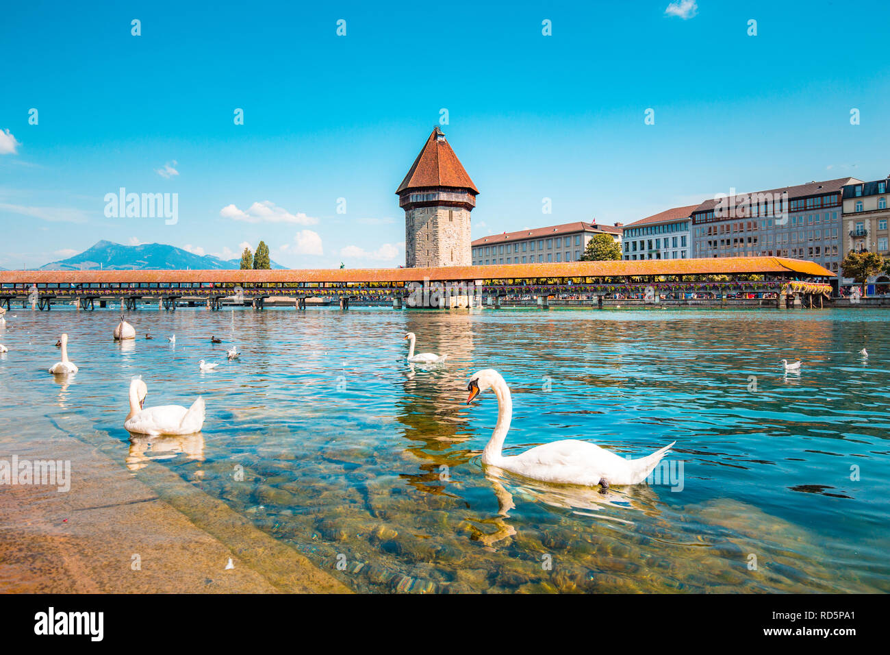 Centro storico della città di Lucerna con il famoso Ponte della Cappella, il simbolo della città e uno della Svizzera le principali attrazioni turistiche Foto Stock