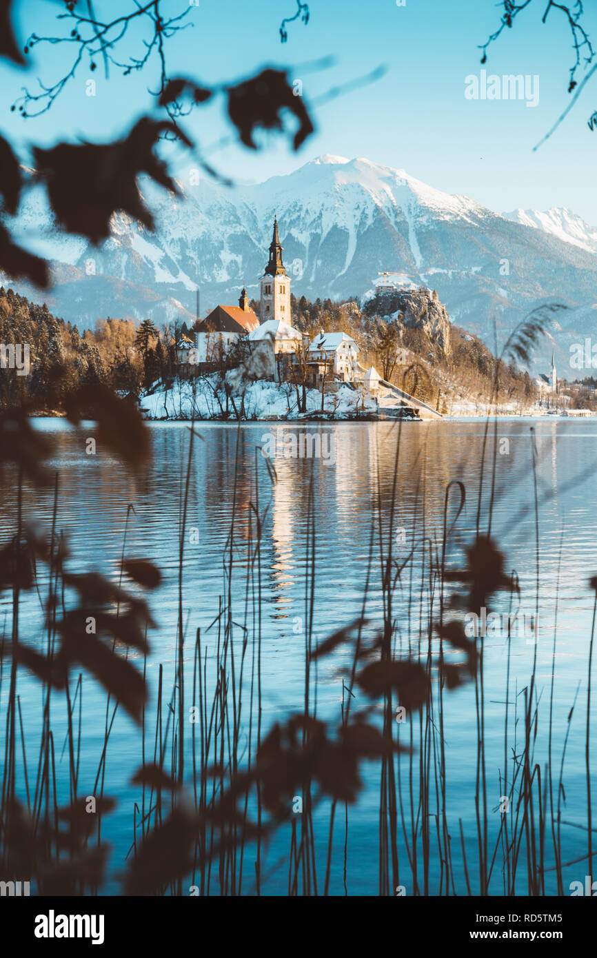 Bellissima vista della famosa isola di Bled (Blejski Otok) presso il pittoresco lago di Bled con il castello di Bled (Blejski grad) e Alpi Giulie in background in golden mo Foto Stock