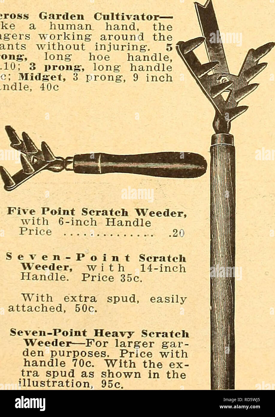 . Currie's farm e giardino : annuale Primavera 1924 49l'anno. Semi di fiori di cataloghi; lampadine (piante) Semi cataloghi; semi di ortaggi cataloghi; Vivai (orticoltura) cataloghi; piante ornamentali, cataloghi; attrezzature da giardinaggio e i cataloghi dei materiali di consumo. Sarchiatura ForksâHand, 4 denti..$0.30 di acciaio importati, 3 rebbio 50 in acciaio solido, 4 tine 75 Cinque punto zero -Weeder, con 6 pollici Prezzo maniglia 20 Seven-Point Scratch Weeder, con 14 pollici maniglia. Prezzo 35c. Extra con staffa SPUD, attaccato facilmente, 50c. Seven-Point Hea-vy Scratch â WeederâFor maggiore gar- den fini. Prezzo con maniglia 70c. Con l'ex- t.r.a. spud come Foto Stock