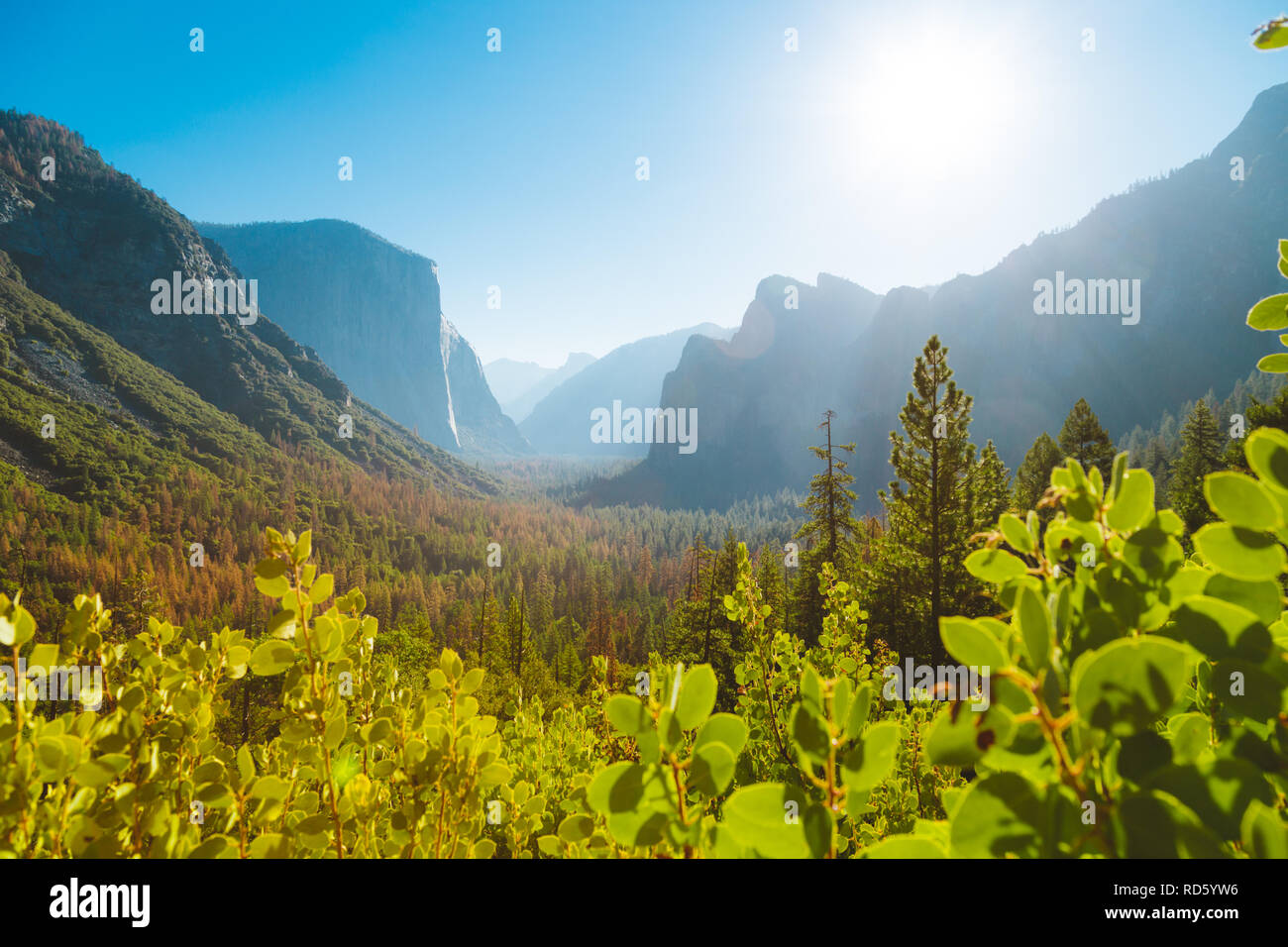 Vista panoramica del famoso Parco Nazionale di Yosemite Valley vista di tunnel in bella la luce del mattino al sorgere del sole in estate, il Parco Nazionale di Yosemite, Mariposa County, STATI UNITI D'AMERICA Foto Stock