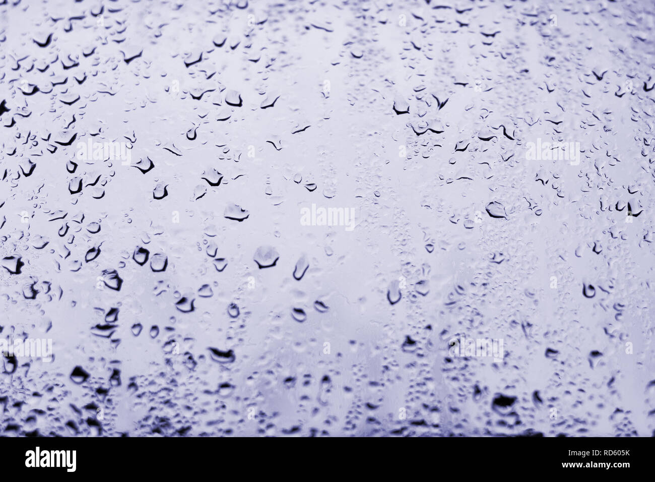 Alto contrasto foto di gocce di pioggia su un vetro di un finestrino con luce tenue blu violaceo colore Foto Stock