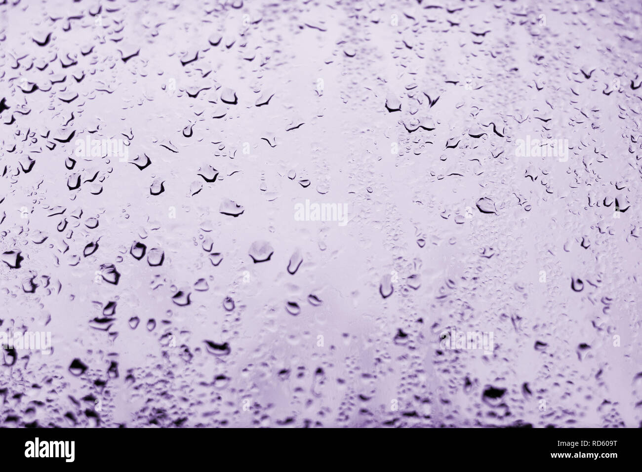 Alto contrasto foto di gocce di pioggia su un vetro di un finestrino con la luce della lavanda pallido color porpora Foto Stock
