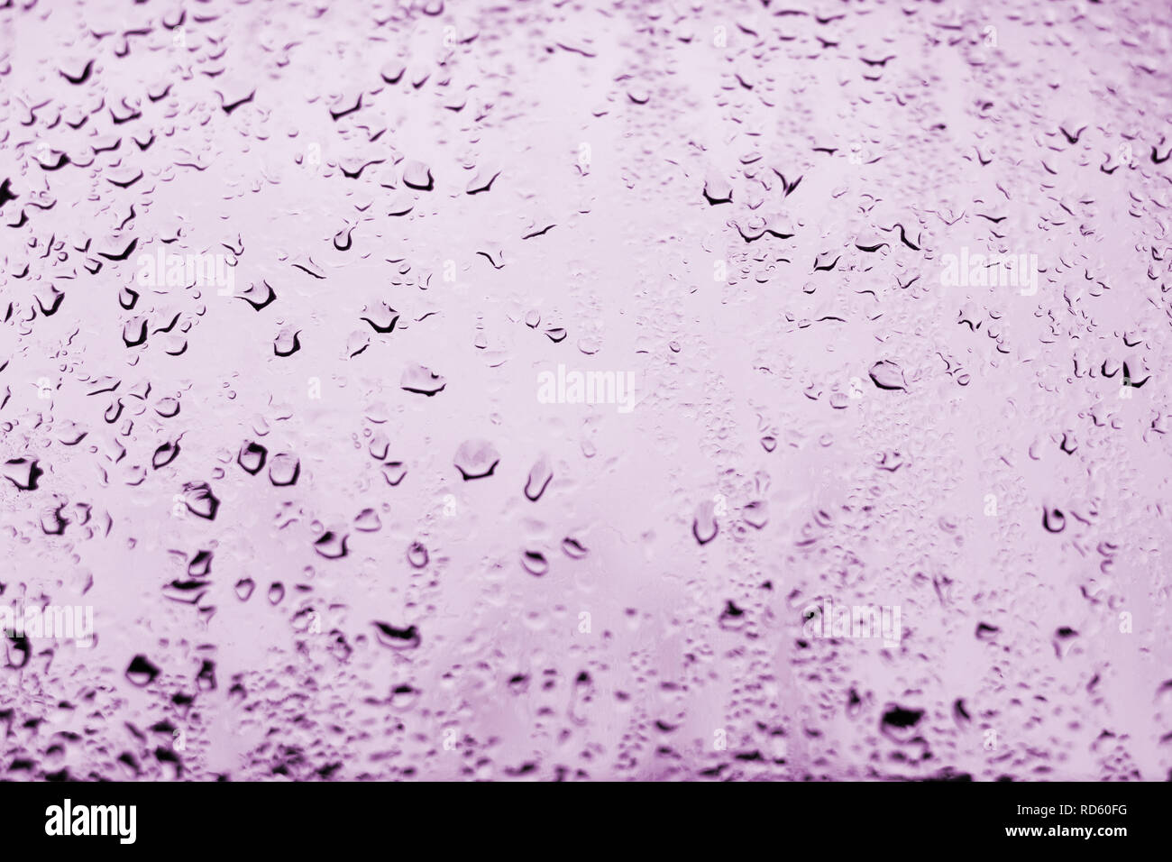 Alto contrasto foto di gocce di pioggia su un vetro di un finestrino con luce tenue colore lilla Foto Stock