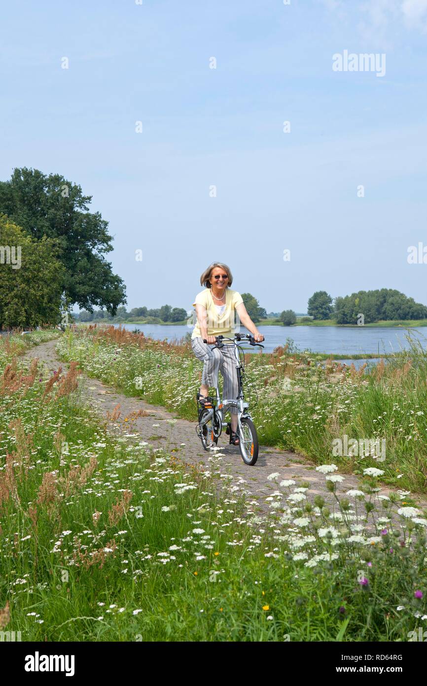 Ciclista sulla diga a Wussegel vicino a Hitzacker, Naturpark Elbufer-Drawehn riserva naturale, Bassa Sassonia, Germania Foto Stock