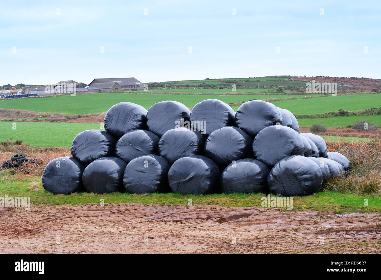 Pila di plastica nera balle di insilato avvolte, Cornwall, Regno Unito - Giovanni Gollop Foto Stock