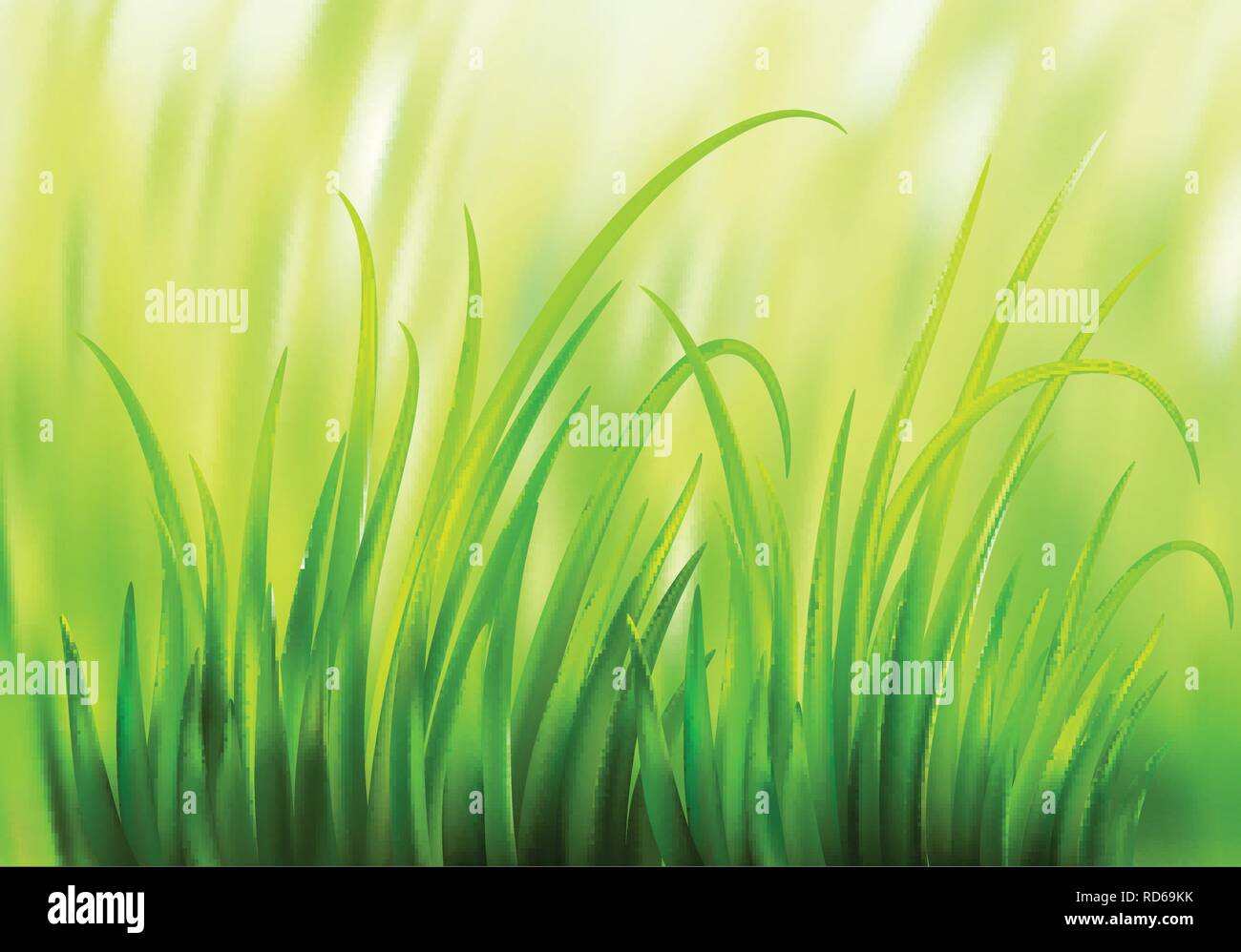 Molla Frash erba verde dello sfondo. Illustrazione Vettoriale Illustrazione Vettoriale