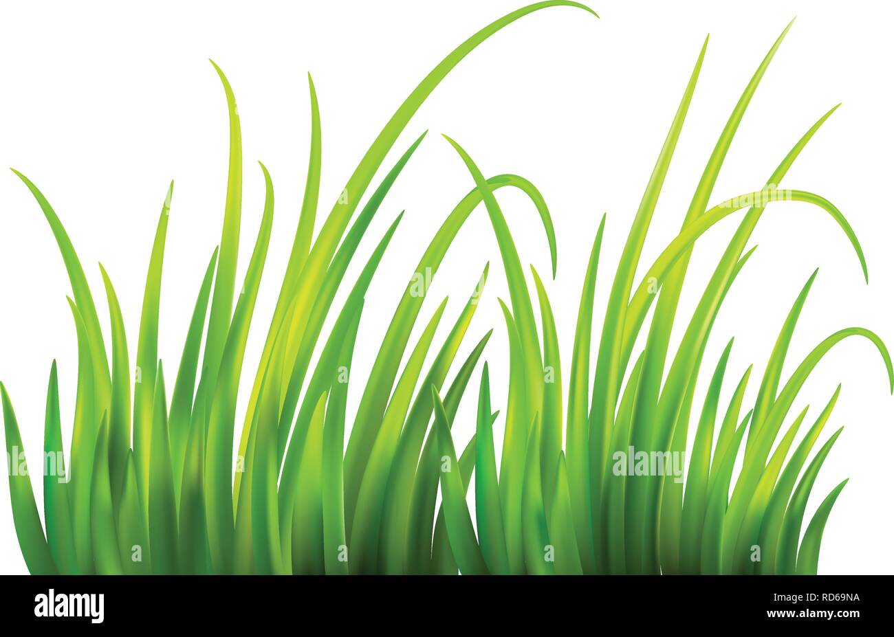 Molla Frash erba verde dello sfondo. Illustrazione Vettoriale Illustrazione Vettoriale