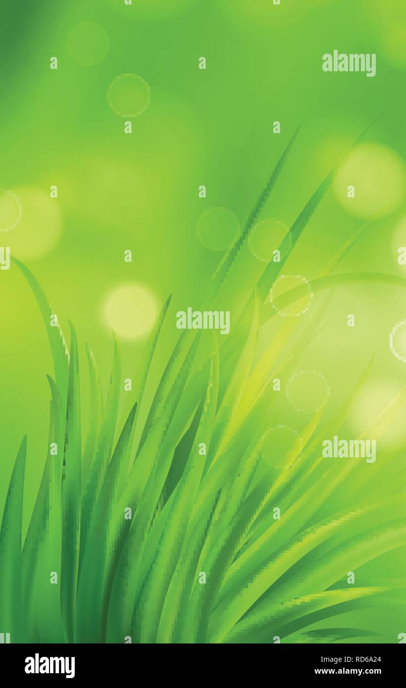 Molla Frash erba verde dello sfondo. Illustrazione Vettoriale Illustrazione Vettoriale