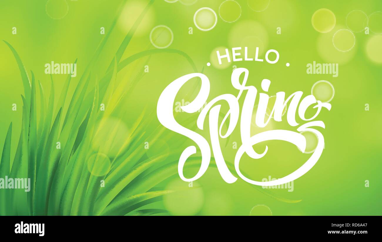 Molla Frash erba verde dello sfondo. Illustrazione Vettoriale Illustrazione Vettoriale