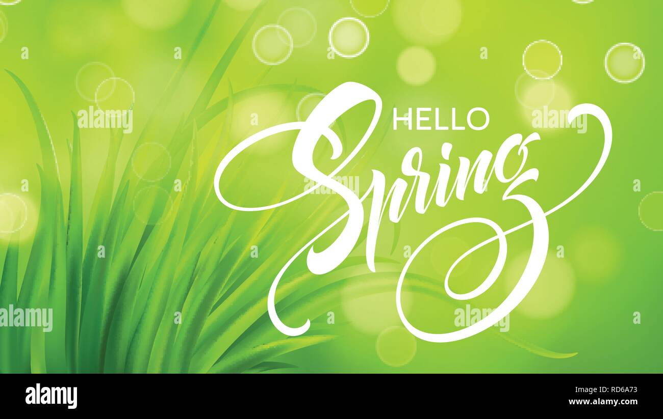 Molla Frash erba verde dello sfondo. Illustrazione Vettoriale Illustrazione Vettoriale