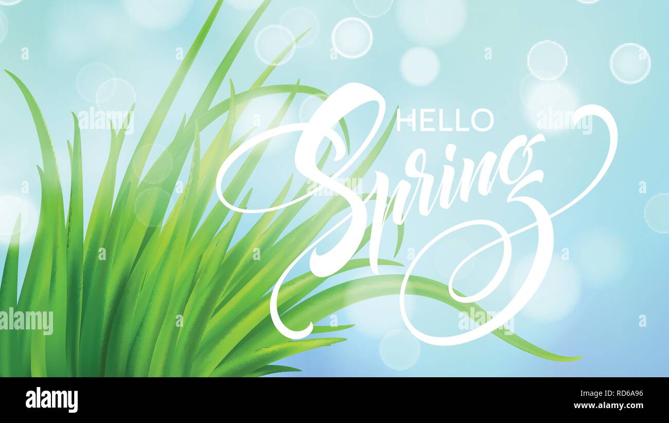 Molla Frash erba verde dello sfondo. Illustrazione Vettoriale Illustrazione Vettoriale