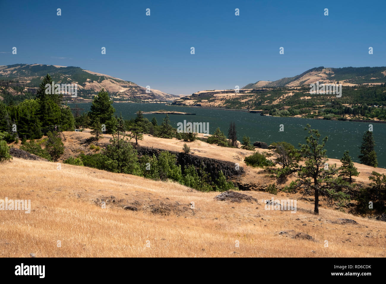 Catherine Creek Columbia River Gorge Washington stato USA Foto Stock