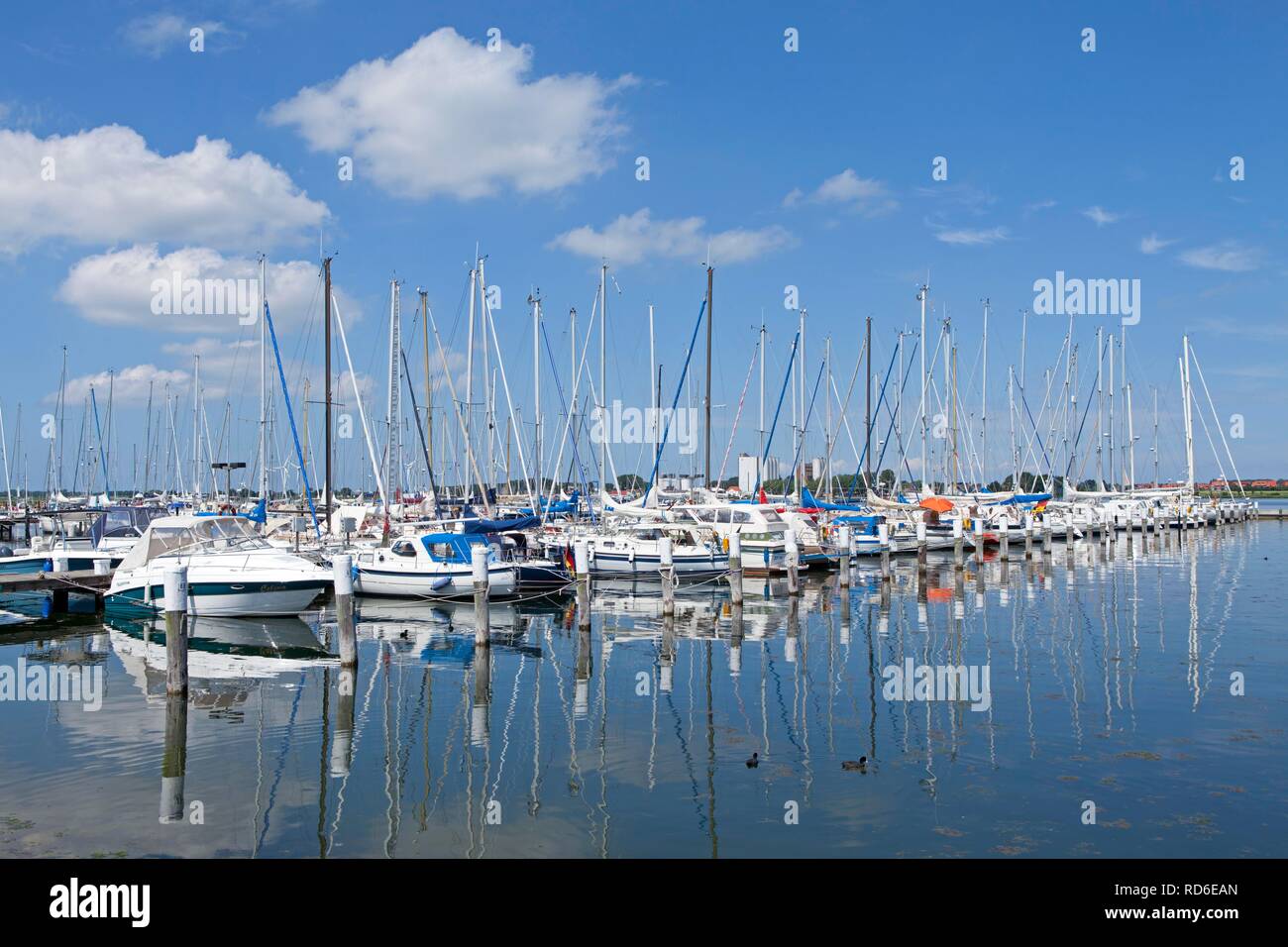 Marina, Burgtiefe, Fehmarn island, Schleswig-Holstein, PublicGround Foto Stock
