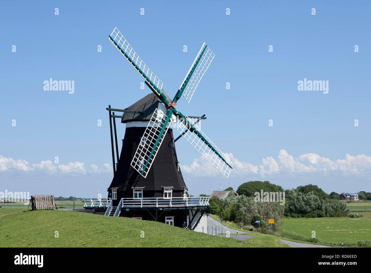 Il mulino a vento di Nordermuehle, Pellworm, Nord Friesland, Schleswig-Holstein, PublicGround Foto Stock