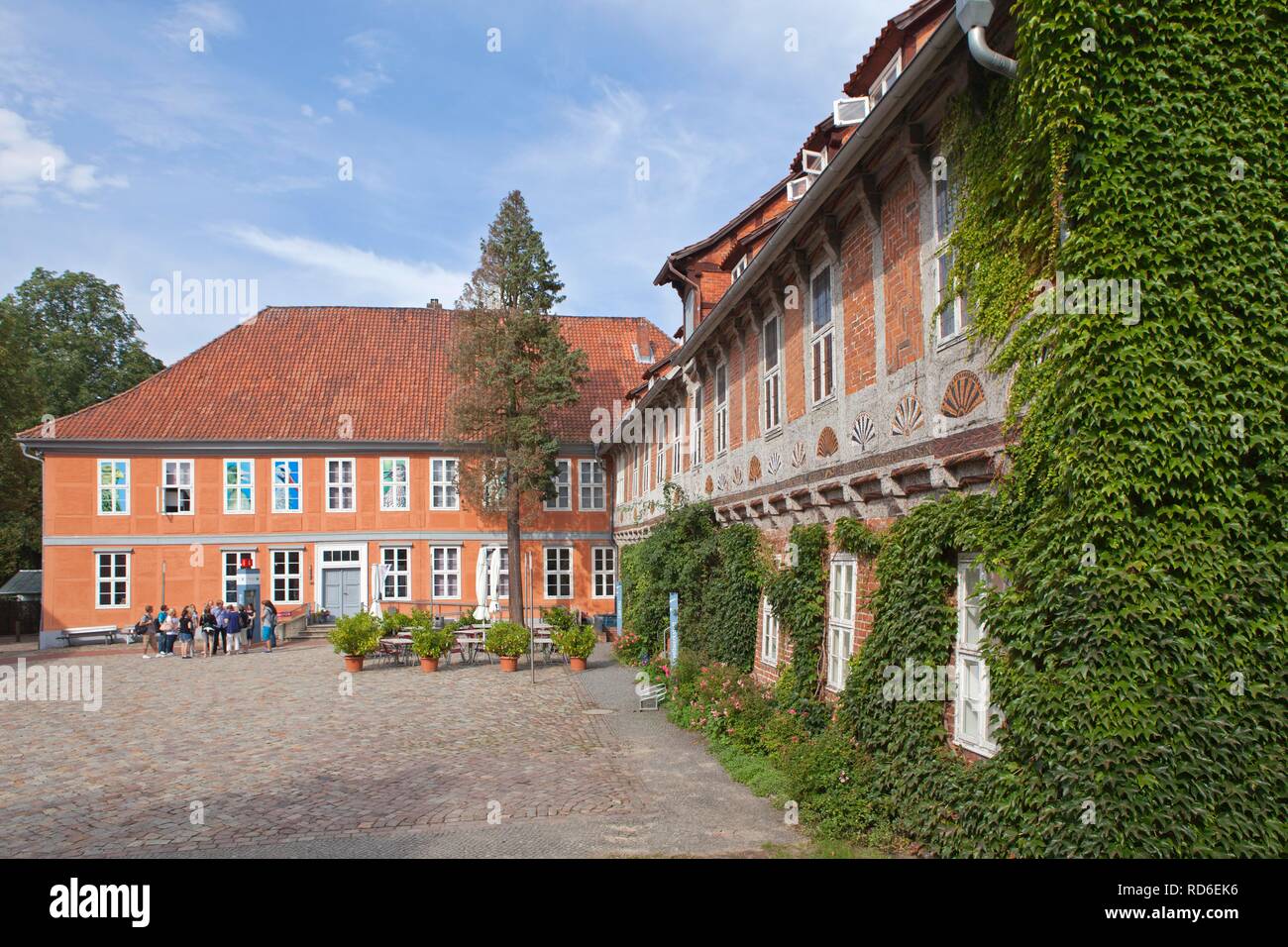 Schloss Bleckede Castello, Naturpark Elbufer-Drawehn riserva naturale, Bassa Sassonia, Germania Foto Stock