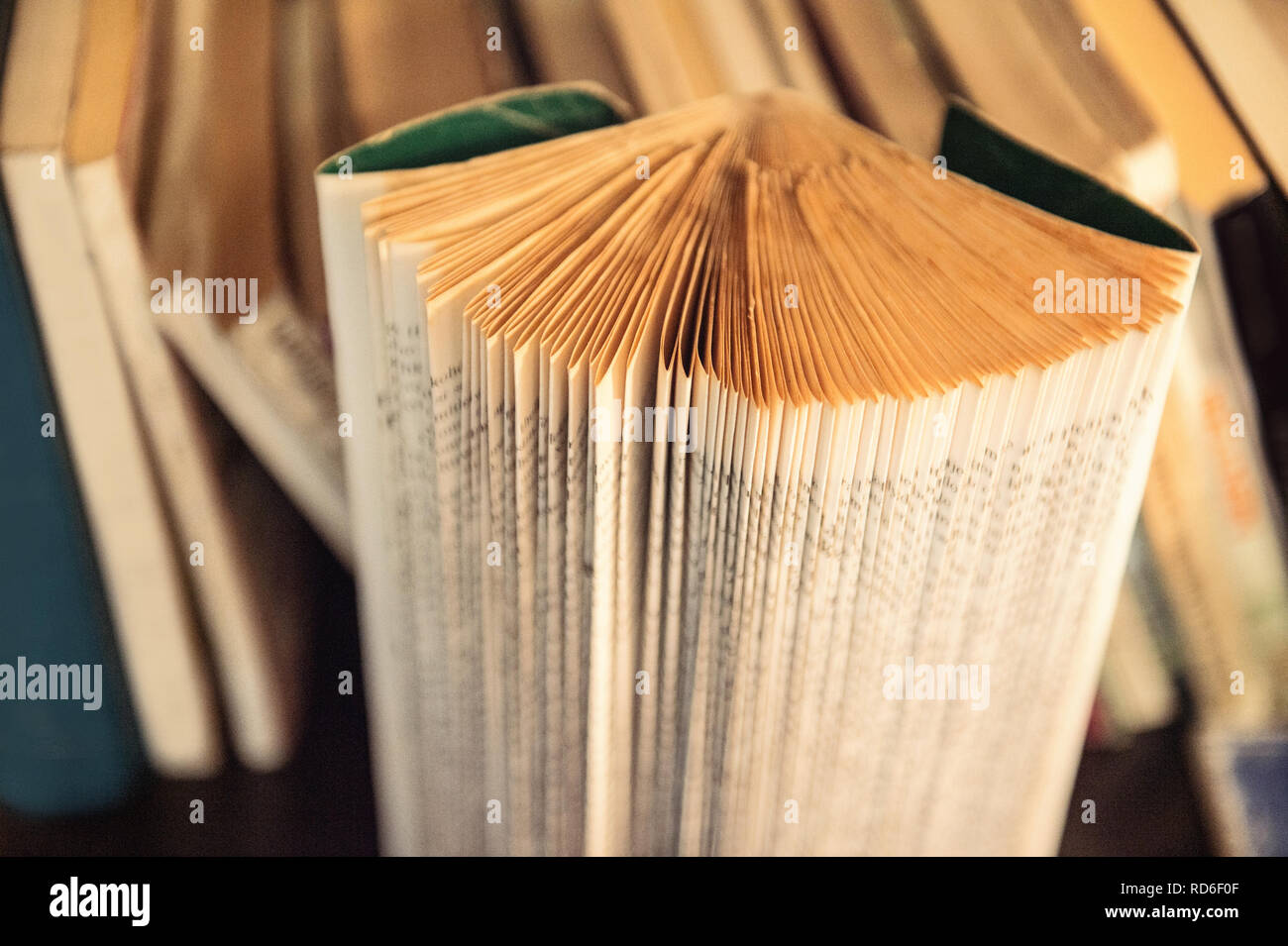 Il vecchio le pagine del libro di close-up, arte in stile retrò tonica foto Foto Stock