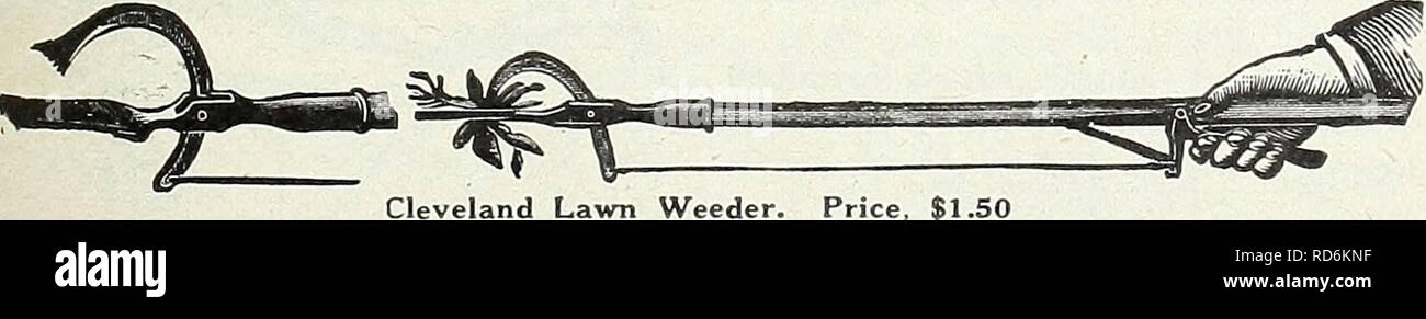 . Currie Bros. : Cinquanta-ottavo anno 1933. Semi di fiori di cataloghi; lampadine (piante) Semi cataloghi; semi di ortaggi cataloghi; Vivai (orticoltura) cataloghi; piante ornamentali, cataloghi; attrezzature da giardinaggio e i cataloghi dei materiali di consumo. Scratch Weeder cinque-punto zero WEEDER-con 6 pollici maniglia. Prezzo  ...20c di sette punti WEEDER SCRATCH - Con 14 pollici maniglia. Prezzo 35c extra con staffa SPUD, attaccato facilmente....50c LITTLE WONDER TAGLIASIEPI rende siepi facile. Qualsiasi persona non addestrato è in grado di tagliare un centinaio di esecuzione di piedi di siepe, Parte superiore e due lati, tre piedi alto in venti minuti. Peso di ma- chine, 1 Foto Stock