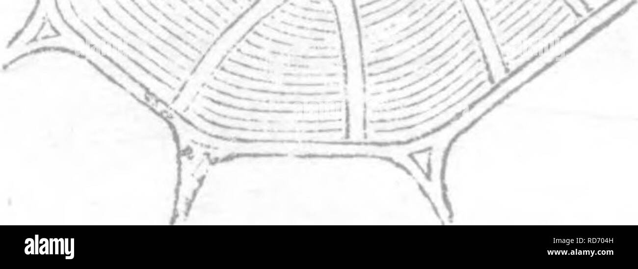 . Principi di anatomia e fisiologia della cellula vegetale. Impianto di cellule e tessuti. ^V'"&GT;'a. Si prega di notare che queste immagini vengono estratte dalla pagina sottoposta a scansione di immagini che possono essere state migliorate digitalmente per la leggibilità - Colorazione e aspetto di queste illustrazioni potrebbero non perfettamente assomigliano al lavoro originale. Mohl, Hugo von, 1805-1872; Henfrey, Arthur, 1819-1859. Londra, J. Van Voorst Foto Stock