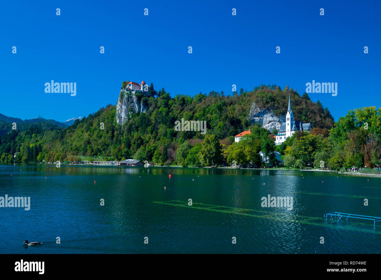Lago di Bled, Slovenia. Foto Stock