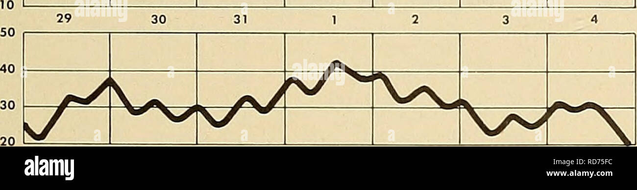 . Corrente, temperatura di marea, e la crescita del ghiaccio misurazioni, orientale Strait-Cape Bering Principe di Galles : 1953-55. Oceanografia; oceanografia; correnti oceaniche. ^/ ^r/&GT; '^'^^ / f ^ A/ / ^ ^A L -""*-" Settembre 1954 29 30 31. 6 7 8 10 y ^^y^ ^ / k r^ •^ &gt; ^w. V- 12 13 14 15 16 17 18 /^ Vv V^ Sm^^ sX Vv/ ^^A. y^ V 200 17,S 0030 23,9 300 25,1 0130 22,3 445 28.C 0240 29.£ 15 32.1 315 38 2345 39 310 35 0050 33 10 30. 0200 30 430 35 0240 33 410 28. 0400 25 630 41 0350 615 35 0600 37. 900 35. 2015 27. 1000 21 2145 22. 1840 31 0630 26. 2000 0710 20. 1950 20 0720 26. 2020 27 0850 22 Foto Stock