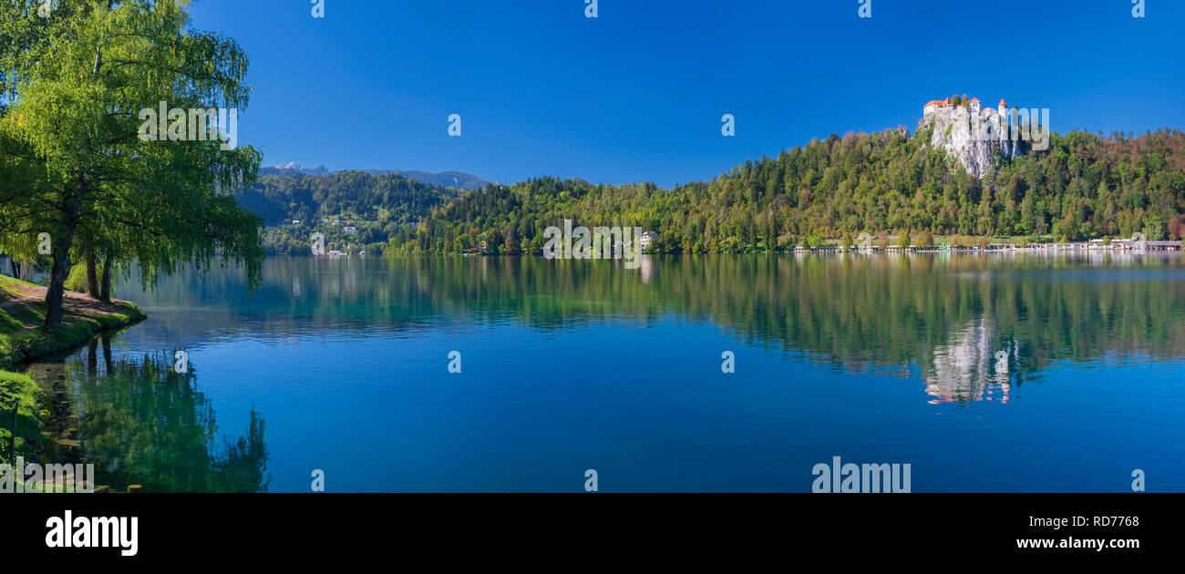 Lago di Bled, Slovenia. Foto Stock