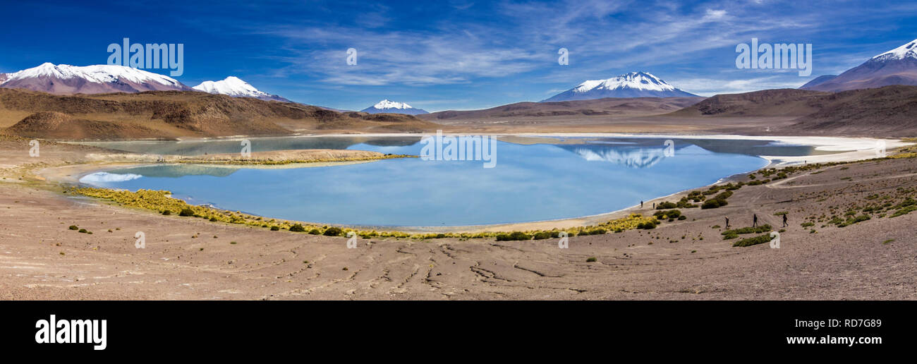 Laguna Charcota altipiano boliviano nel modo di Salar de Uyuni, è un sorprendente alta altitudine laguna circondata da un timore reverenziale vulcanica paesaggio andino Foto Stock