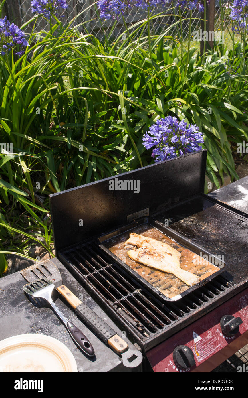 La Passera pianuzza essendo cotti sul barbeque Foto Stock