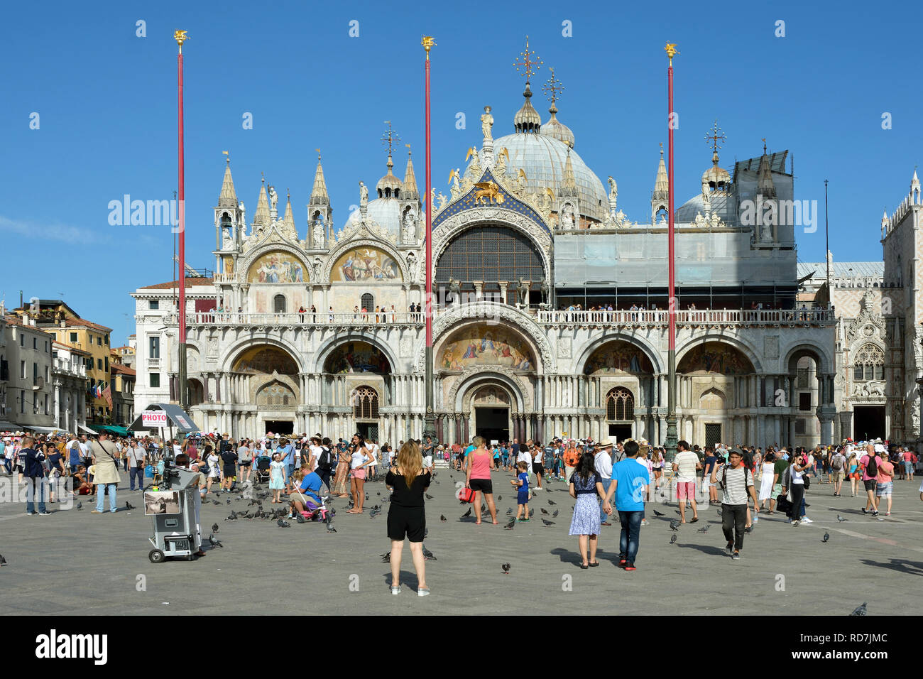Turisti in Piazza San Marco di fronte alla Basilica di San Marco di Venezia - Italia. Foto Stock