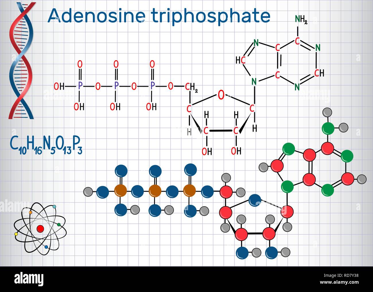 L'adenosina trifosfato (ATP) , molecola intracellulare è il trasferimento di energia e necessari per la sintesi di RNA. Foglio di carta in una gabbia. Ch strutturali Illustrazione Vettoriale