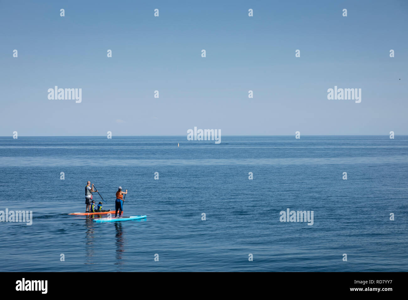 Famiglia di quattro su stand up paddle boards su open water. Foto Stock