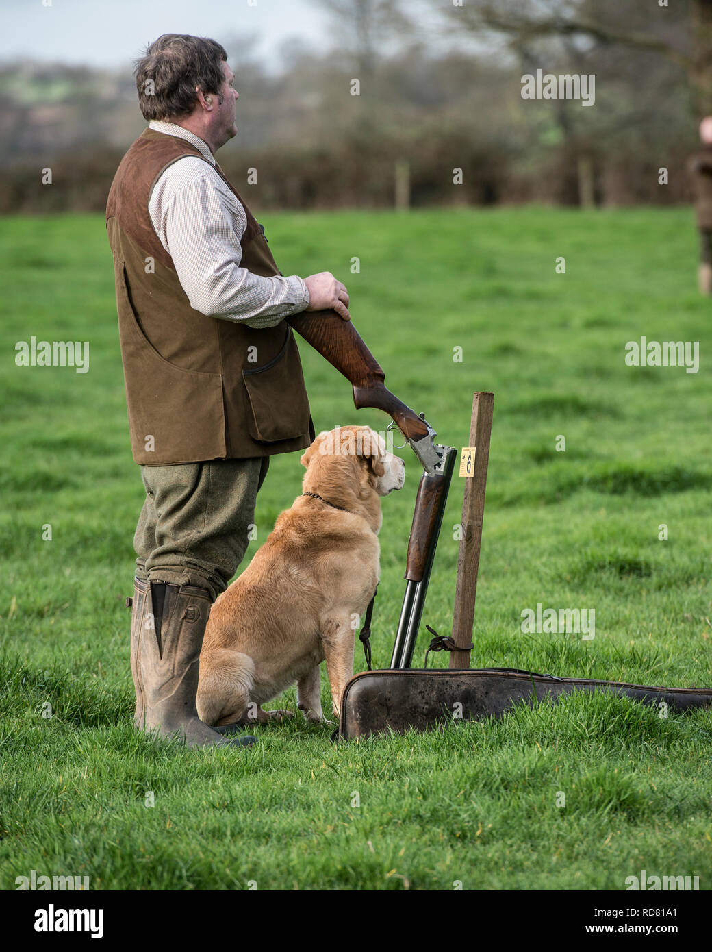 uomo e labrador su un sparare fagiano Foto Stock