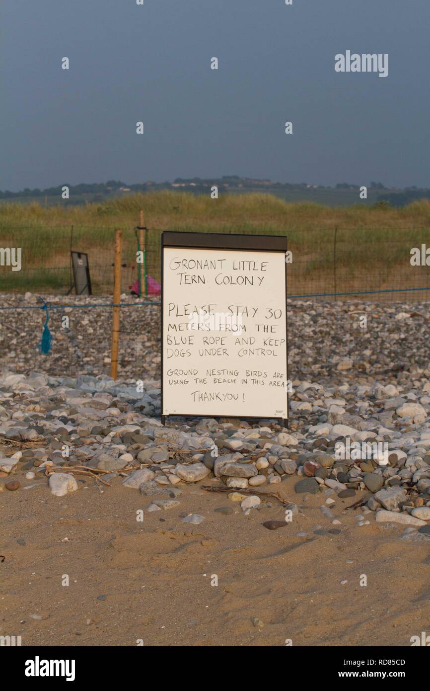 Segnali di avvertimento di bagnanti sulla spiaggia circa la nidificazione poco Sterne ( Sterna albifrons ) e loro vulnerabilità Foto Stock