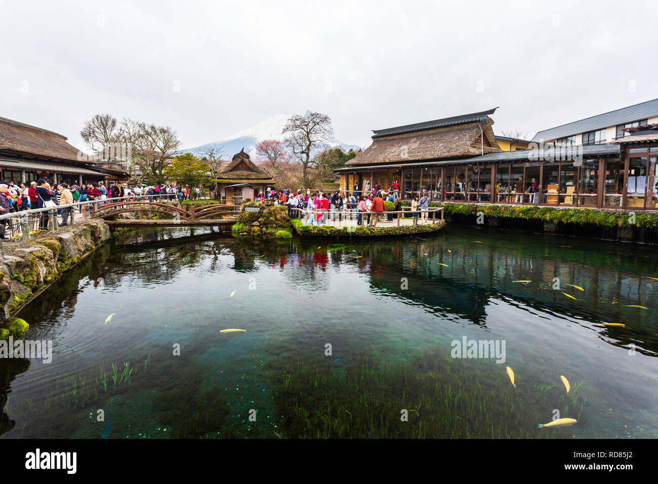 Oshino, Giappone - 10 Aprile 2016: turisti visitano Oshino Hakkai, un piccolo villaggio della Fuji cinque regione del lago, situato tra il Lago Kawaguchiko e il lago Foto Stock