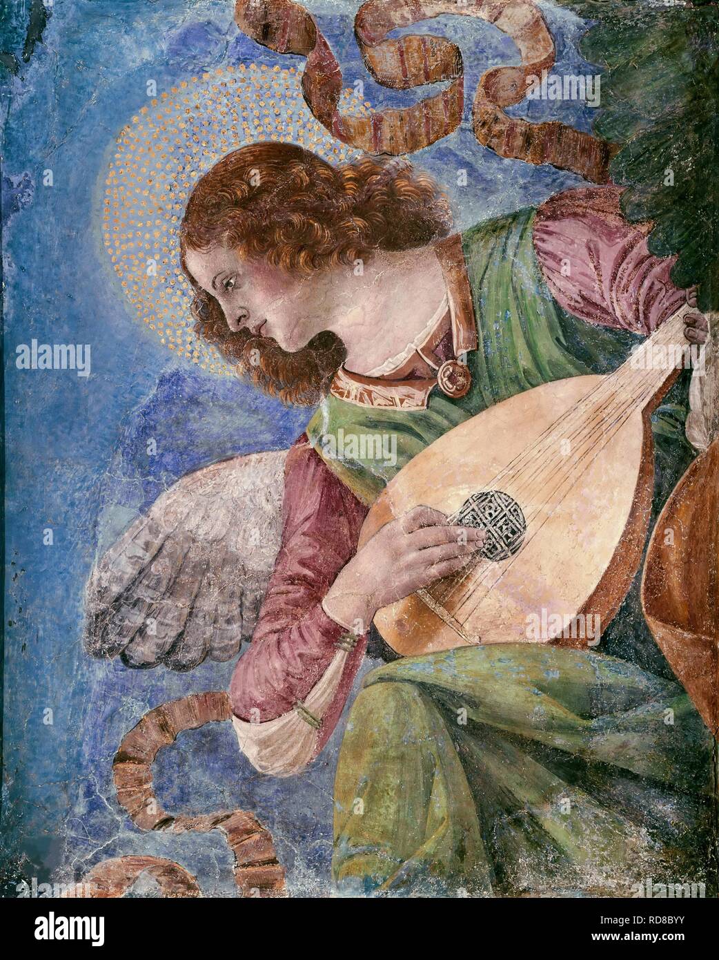 Musicista angel. Museo: Pinacoteca Vaticana, Roma. Autore: Melozzo da Forlì. Foto Stock