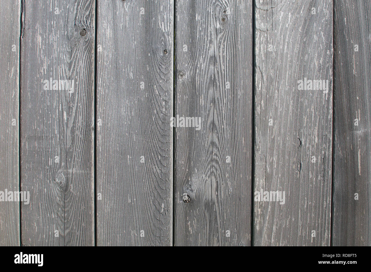 Weathered ampia grigio cedro pannelli di recinzione. Foto Stock