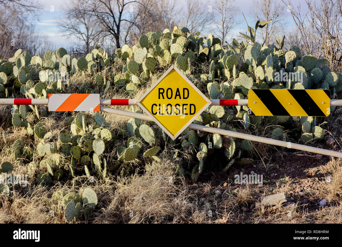Strada chiusa segno nelle zone rurali del Texas occidentale. Foto Stock