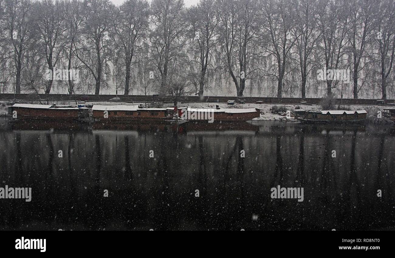 Srinagar, India. 16 gennaio, 2019. Casa barche sono rivestite come nevica a Srinagar Kashmir su gennaio 16, 2019. Credito: Faisal Khan/Pacific Press/Alamy Live News Foto Stock