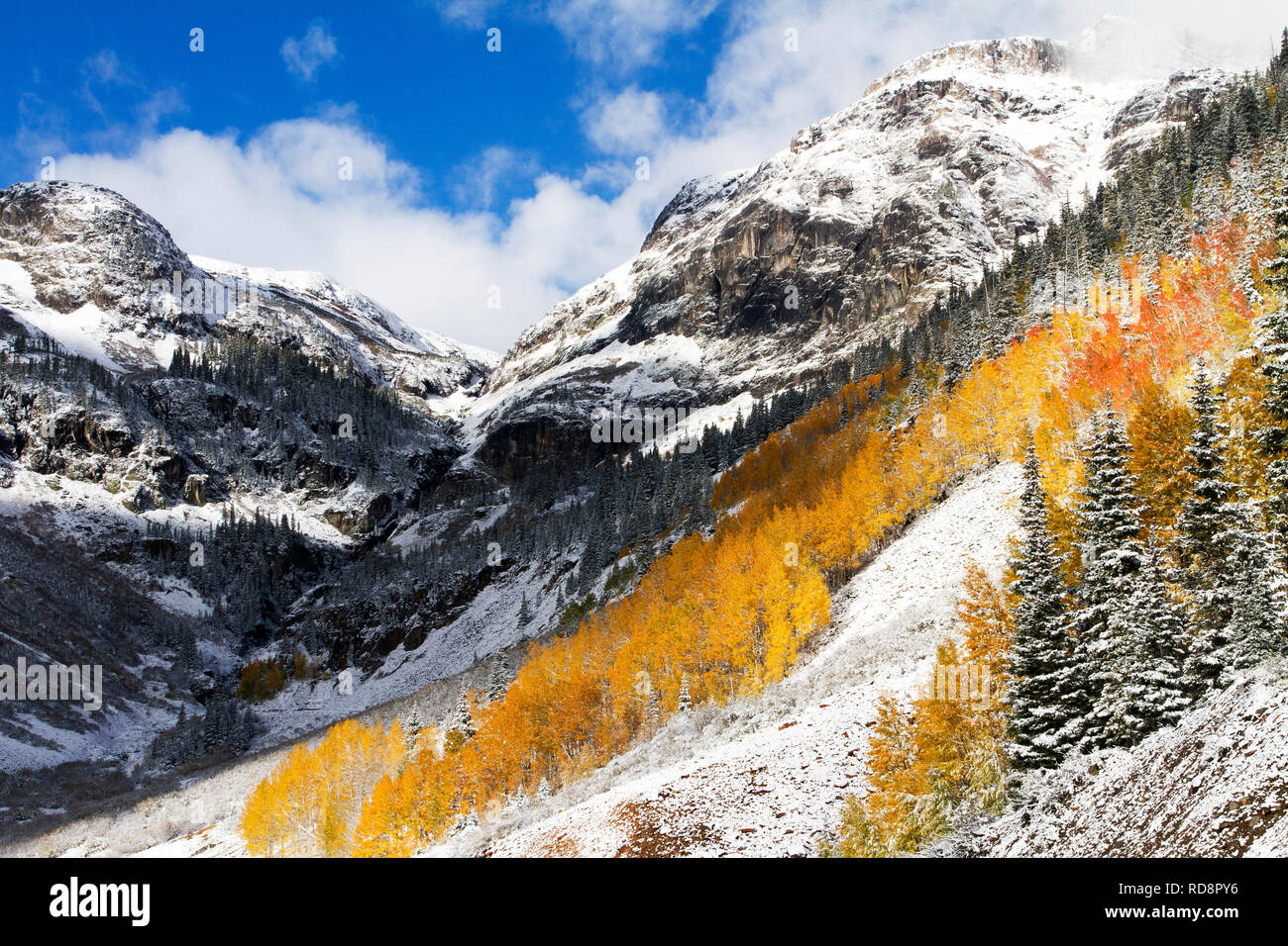 San Juan Mountains in colori autunnali e neve, Colorado Foto Stock