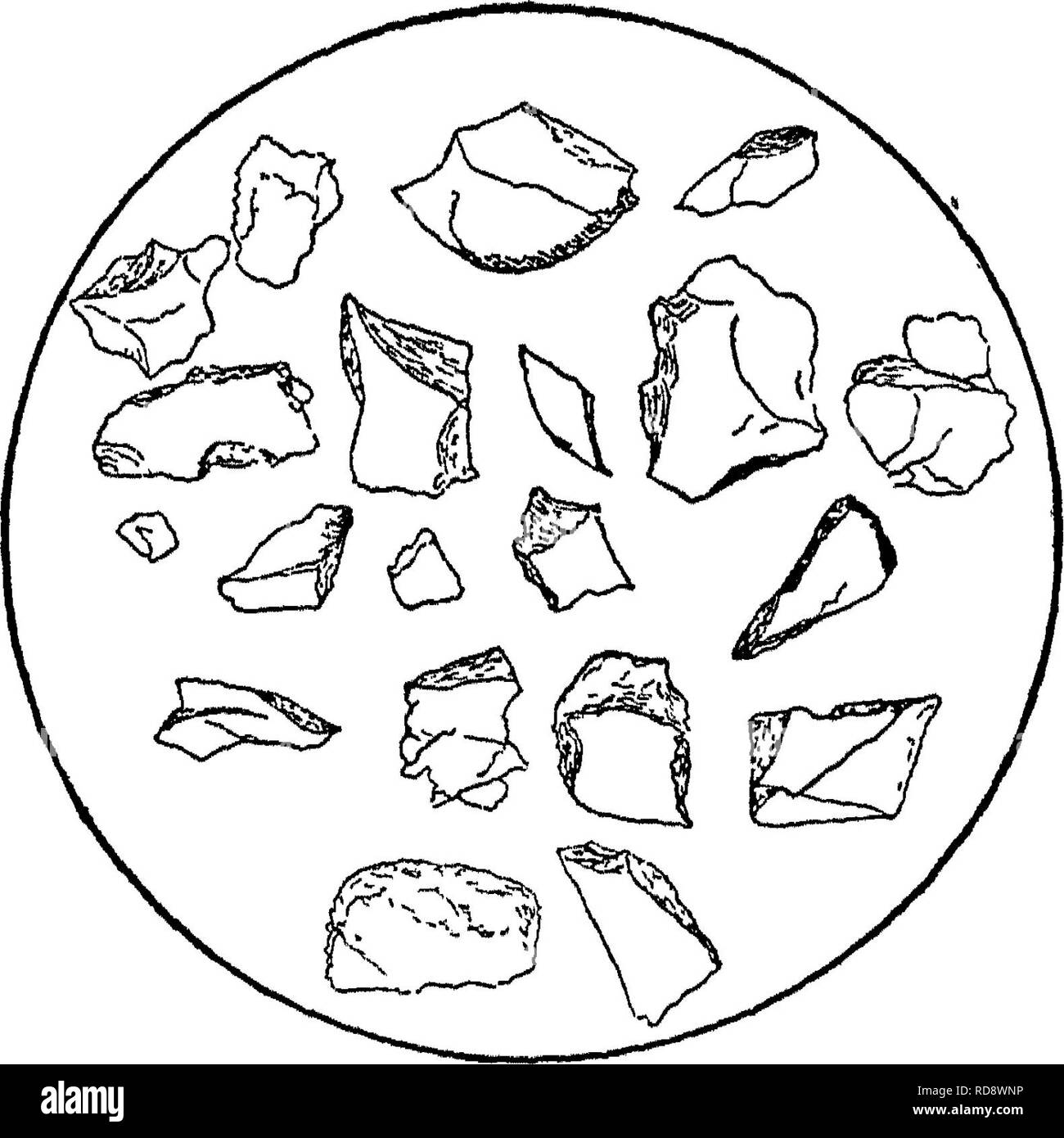 . Un trattato sulle rocce, rock-agenti atmosferici e suoli;. Petrologia; terreni. 292 IL EEGOLITH realizzati dai sigg. Chamberlin e Salisbury: *^sopra, l'argilla laureati nel terreno che, al di fuori delle valli, viene uniformemente poco profonda. Al di sotto del suolo, l'argilla perde il colore scuro di quest'ultimo, a causa della presenza di materia organica, ma è ad una certa distanza verso il basso non diversamente la porzione superiore della struttura. La più profonda che giace argilla, dove calcare è la roccia sottostante, è la più caratteristica di Stati della terra dei resti serie. Non è come quella sopra, structureless, sebbene, come quella, è wit Foto Stock . Un trattato sulle rocce, rock-agenti atmosferici e suoli;. Petrologia; terreni. 292 IL EEGOLITH realizzati dai sigg. Chamberlin e Salisbury: *^sopra, l'argilla laureati nel terreno che, al di fuori delle valli, viene uniformemente poco profonda. Al di sotto del suolo, l'argilla perde il colore scuro di quest'ultimo, a causa della presenza di materia organica, ma è ad una certa distanza verso il basso non diversamente la porzione superiore della struttura. La più profonda che giace argilla, dove calcare è la roccia sottostante, è la più caratteristica di Stati della terra dei resti serie. Non è come quella sopra, structureless, sebbene, come quella, è wit Foto Stock